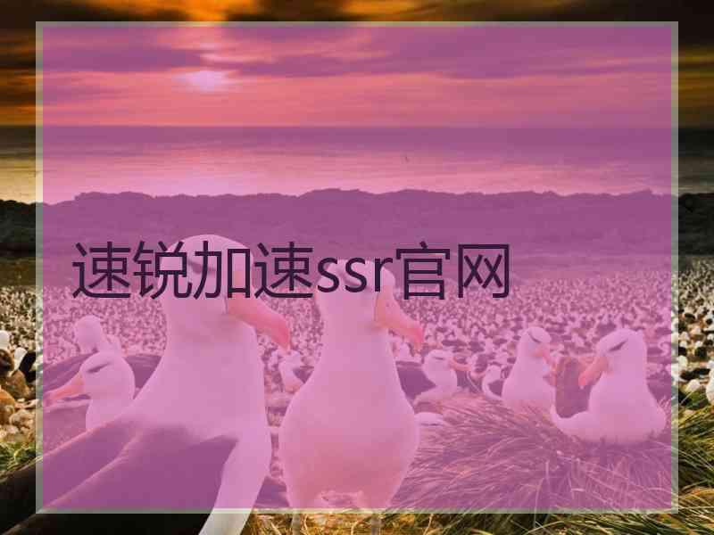 速锐加速ssr官网